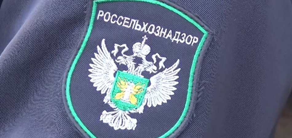 Как прекратить ввоз «санкционки» в Россию — рецепт от Россельхознадзора