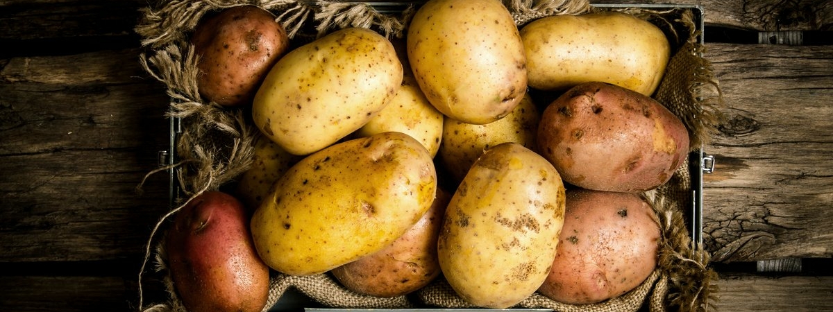 Картофель является самым дешевым источником калия – диетологи