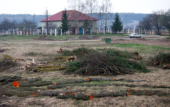Лукашенко: &#171;Зачем уничтожать придорожные лесополосы?&#187;