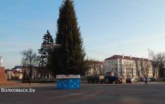 В Волковыске открылись елочные базары