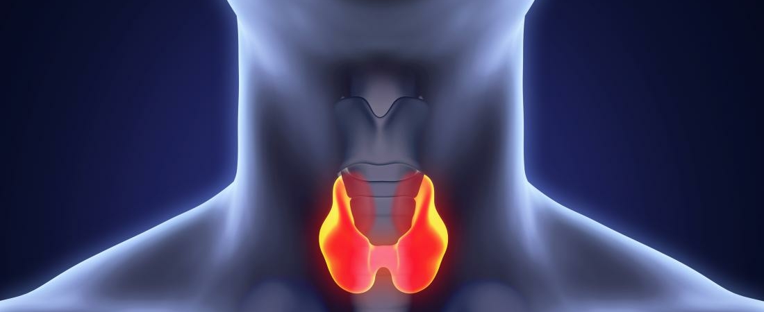 Как улучшить состояние щитовидной железы врачи назвали естественные способы