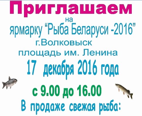 В Волковыске пройдет ярмарка «Рыба Беларуси»
