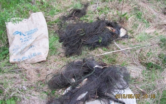 Двое жителей Волковысского района попались на незаконной добыче рыбы