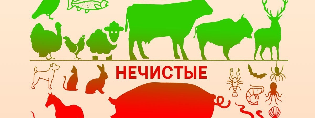 Почему Бог разделил животных на чистых и нечистых: пересмотрите свое питание