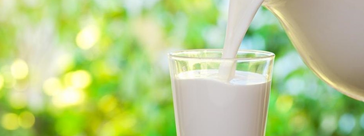 Как проверить молоко на натуральность: 5 способов