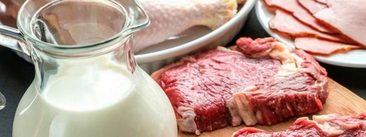 Любишь молоко с мясом – познакомишься с раком: Почему нельзя сочетать два животных продукта
