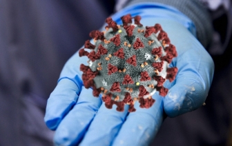 Коронавирус в Беларуси и мире: сколько жертв и зараженных COVID-19 на 2 апреля