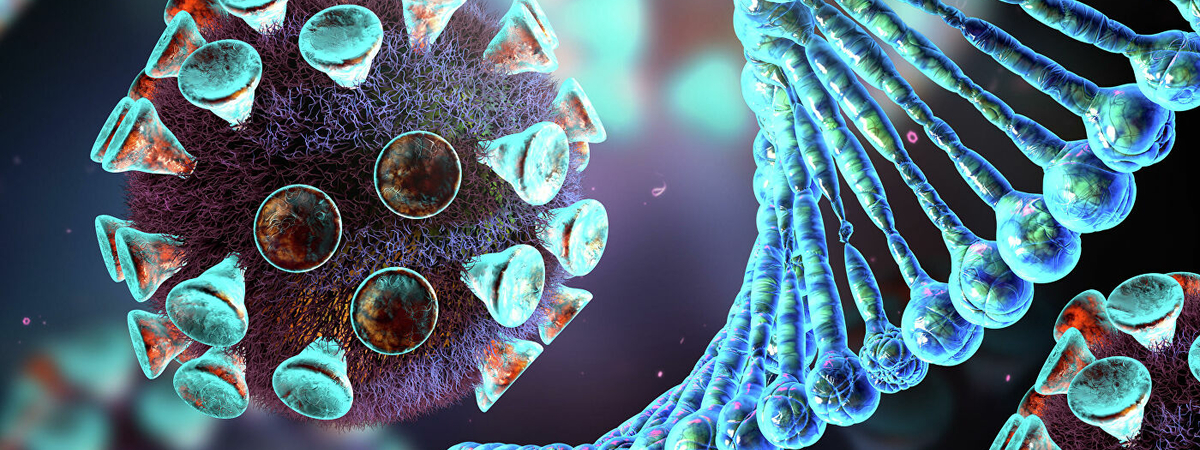 Вирусы «крадут» белки человека и становятся опаснее - учёные