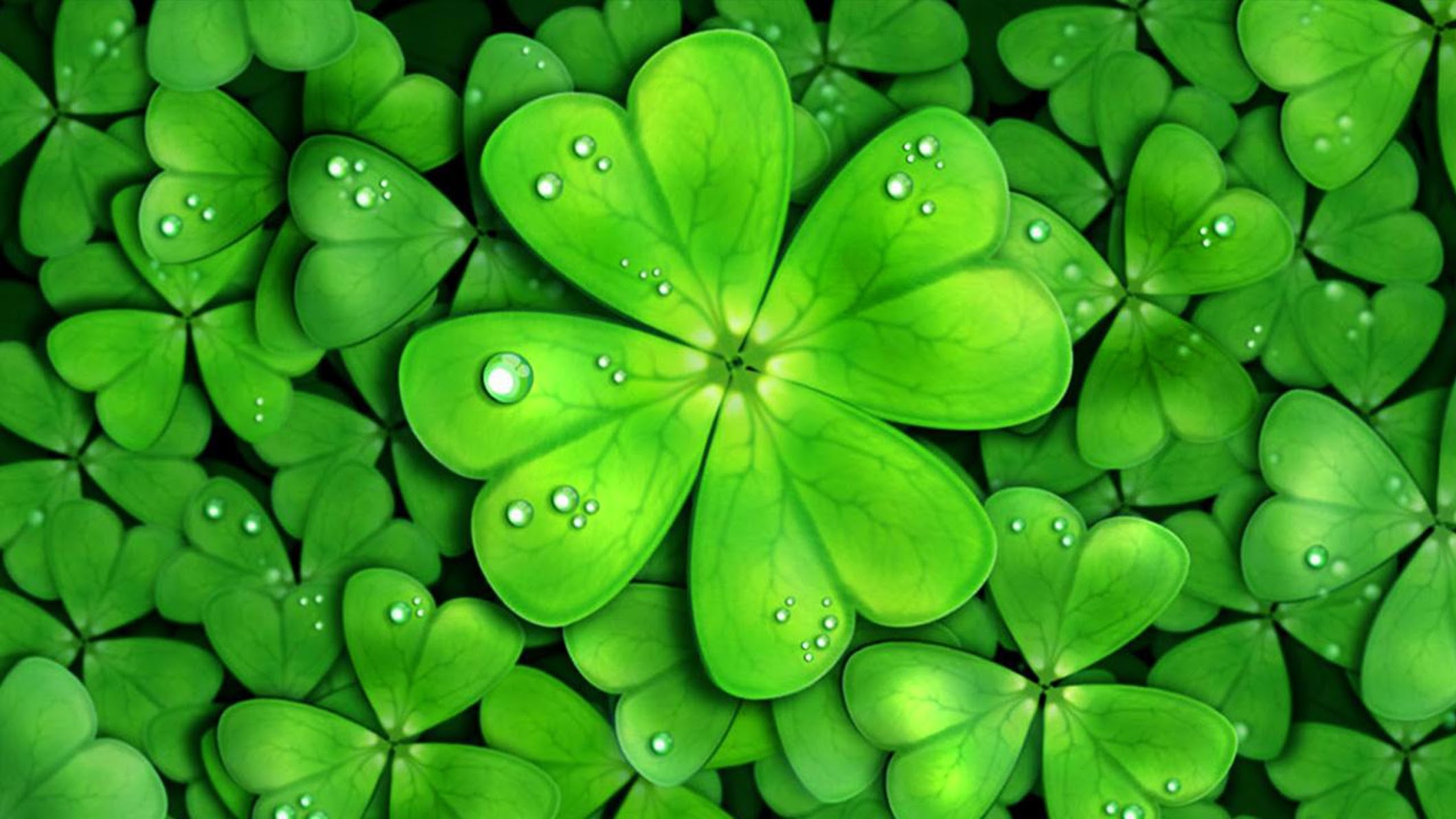 Какая бывает удача. Четырёхлистный Клевер символ удачи. Зеленый Клевер четырехлистный. Клевер 4х листник. Фон Клевер четырехлистник.