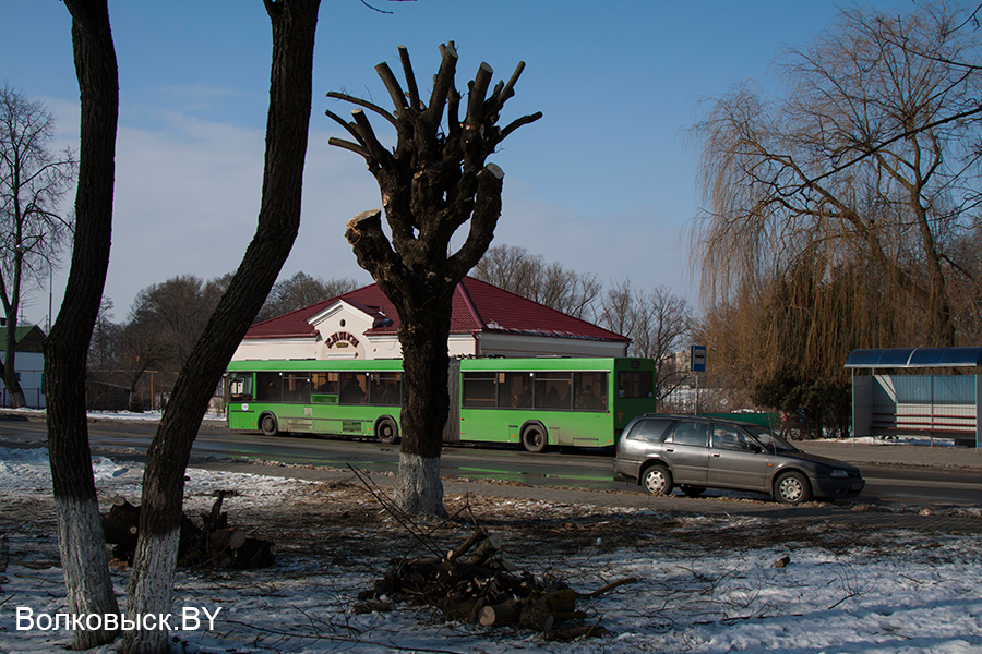 Погода в волковыске на месяц