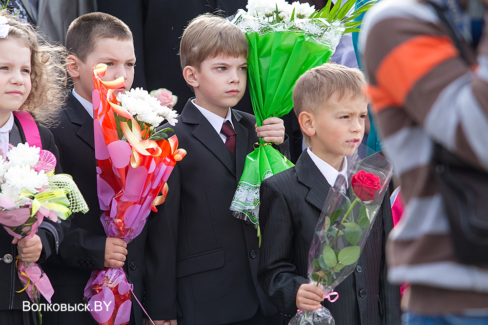 Гимназия 1 волковыск. Школа 7 Волковыск. Средняя школа 1 города Волковыск фото. Школа 2 города Волковыска фото. Сайт СШ 7 Г Волковыска.