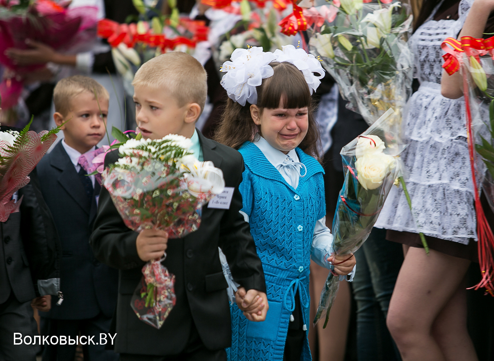 Гимназия 1 волковыск. Школа 7 Волковыск. Школа 7 Волковыска линейка. Волковыск школа 6. Городея Школьная 7 школа 1.